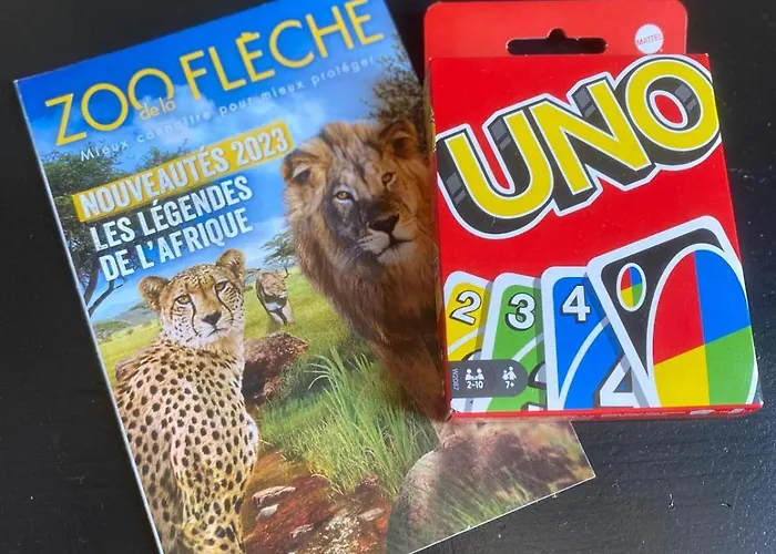 Le Cosy-chic - Vieux Mans - Centre & Cathedrale Appartement *